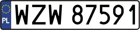 WZW87591