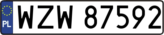 WZW87592