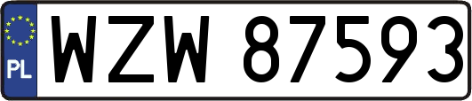 WZW87593