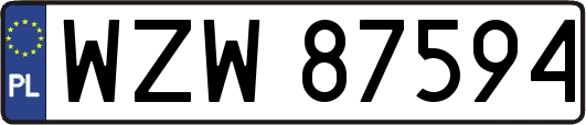 WZW87594