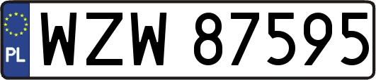 WZW87595
