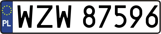 WZW87596