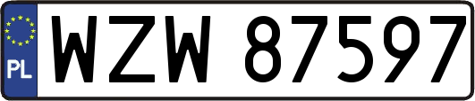 WZW87597