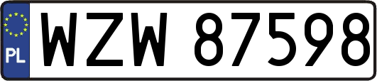 WZW87598