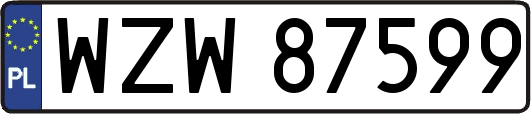 WZW87599