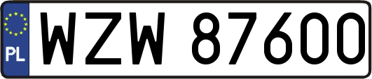 WZW87600