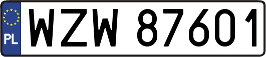WZW87601