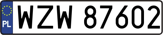 WZW87602