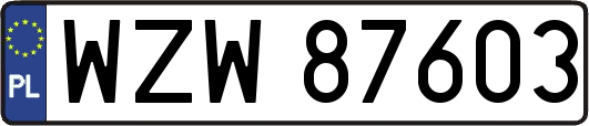 WZW87603