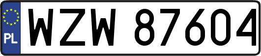 WZW87604