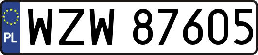 WZW87605