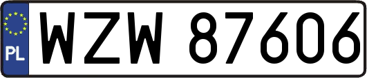 WZW87606