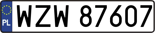 WZW87607