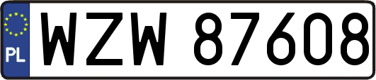 WZW87608