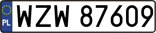WZW87609