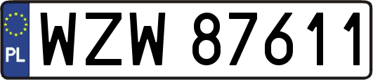 WZW87611