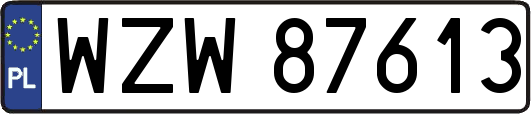 WZW87613
