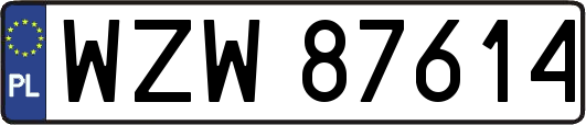 WZW87614