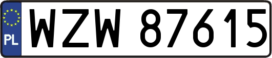 WZW87615