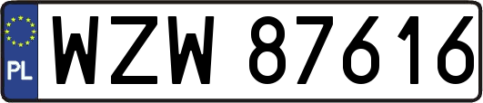 WZW87616