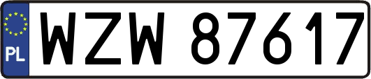 WZW87617