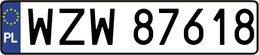 WZW87618