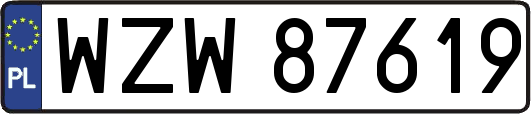 WZW87619