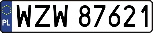 WZW87621
