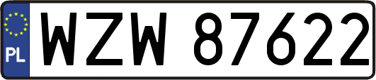 WZW87622