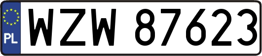 WZW87623