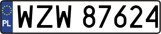 WZW87624