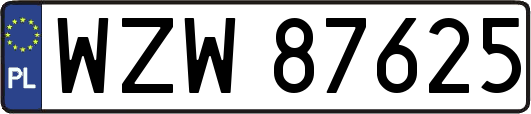 WZW87625