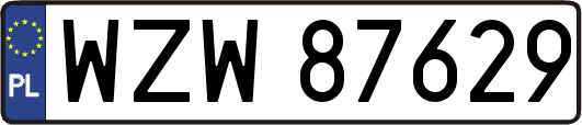 WZW87629