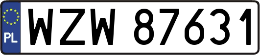 WZW87631