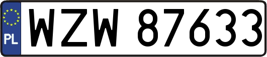 WZW87633