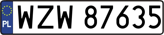 WZW87635