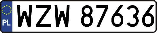 WZW87636