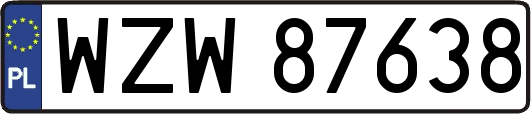 WZW87638