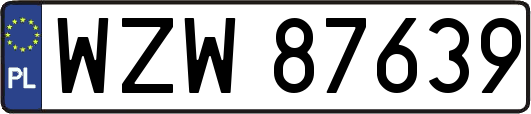 WZW87639