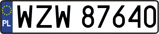WZW87640