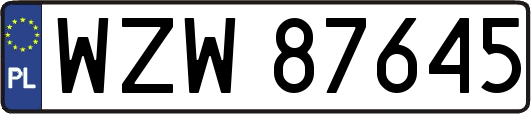 WZW87645