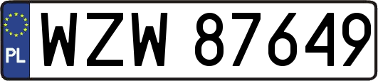 WZW87649
