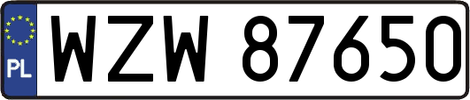WZW87650