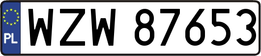 WZW87653