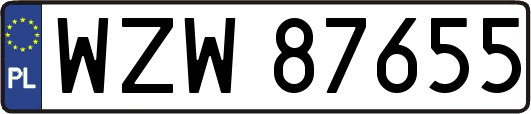 WZW87655
