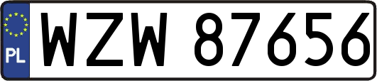 WZW87656