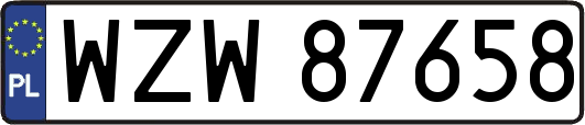 WZW87658
