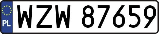 WZW87659