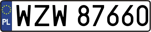 WZW87660