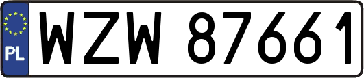 WZW87661
